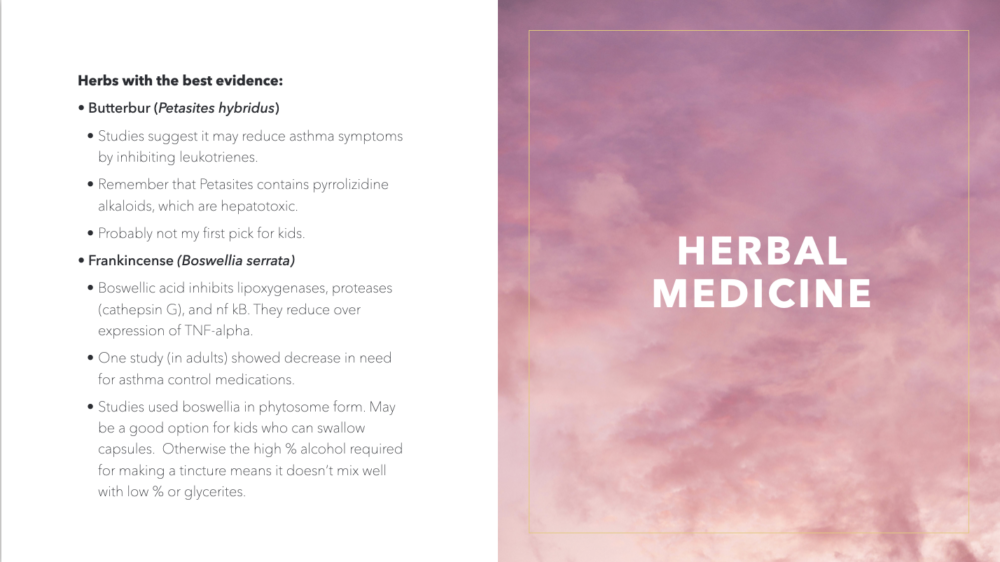 An Integrative Approach to Asthma Treatment in Children - Image 3