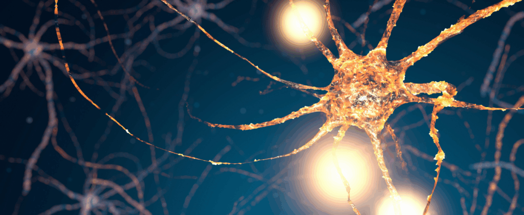 Close-up microscopic image of brain tissue