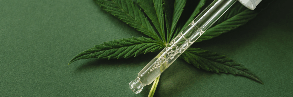 Cannabis oil and leaf on a green background